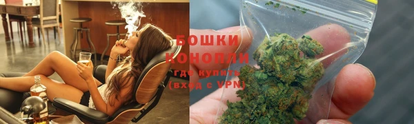 ПСИЛОЦИБИНОВЫЕ ГРИБЫ Абаза