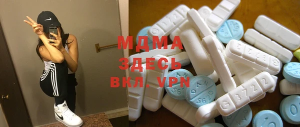 прущие грибы Новодвинск