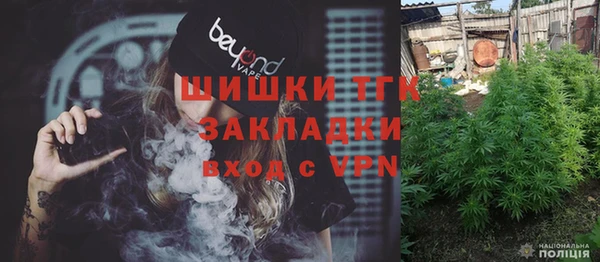 ПСИЛОЦИБИНОВЫЕ ГРИБЫ Абаза