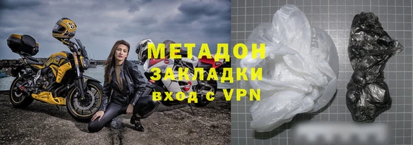 прущие грибы Новодвинск