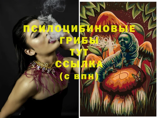ПСИЛОЦИБИНОВЫЕ ГРИБЫ Абдулино