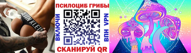 Псилоцибиновые грибы мицелий  Старый Крым 